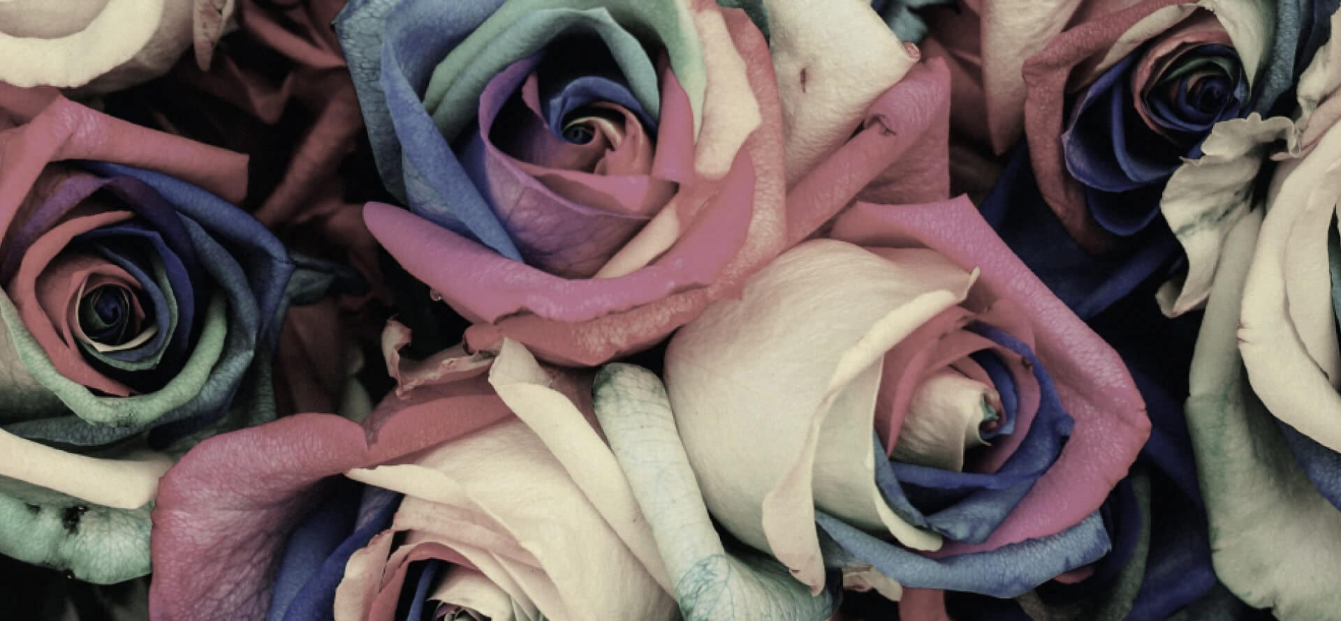 Image Comparison 8 Left Image