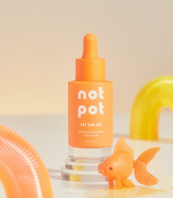 Advanced Image 12 Advanced Image