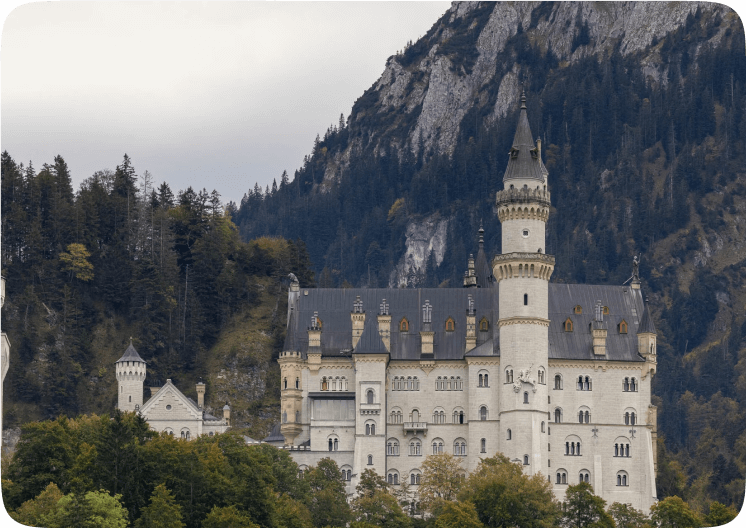 Filterable Gallery 19 Filterable Gallery