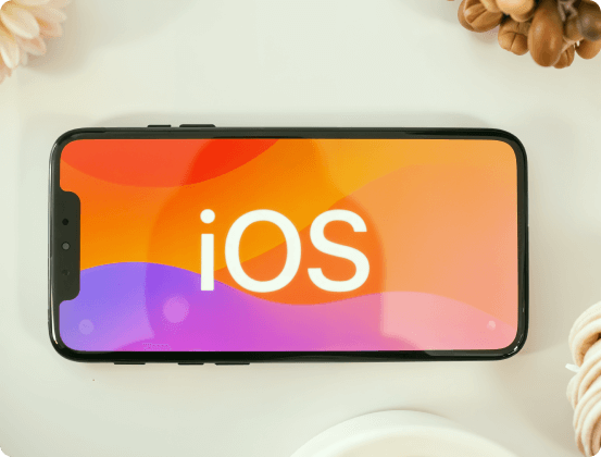 Accordion 10 Accordion