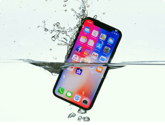 Accordion 9 Accordion