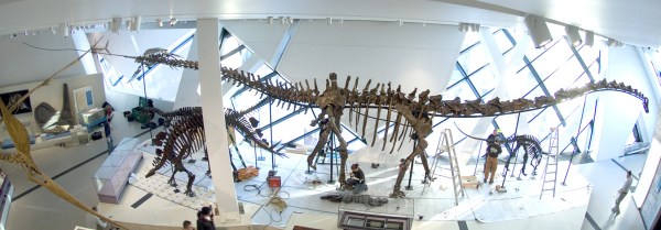 Gallery_Barosaurus image_sm