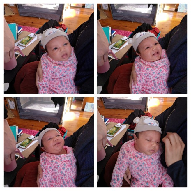 img_20181107_140449-collage