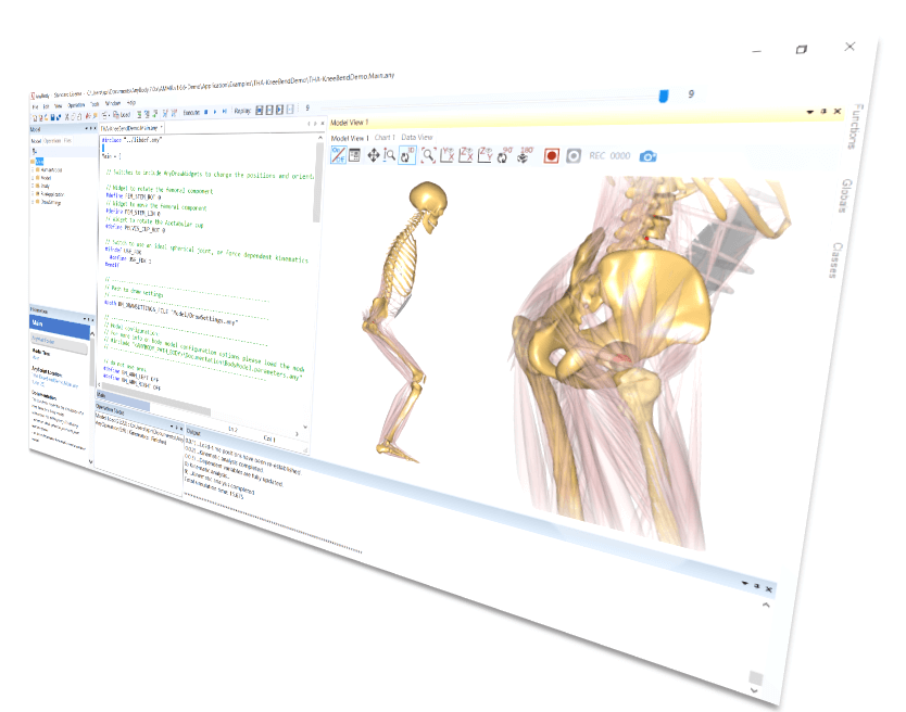 AnyBody software AnyBody software