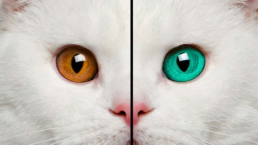 change-eye-color-in-photoshop-final change-eye-color-in-photoshop-final