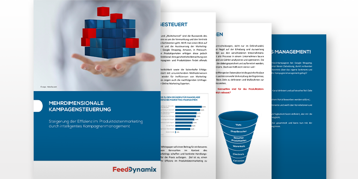 Teaser Whitepaper Kampagen steuern mit Erfolg