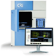 Fluorescence_Imaging