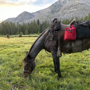 Overlander First Aid Kit