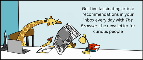 The five best articles