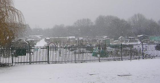 Snowy allotments