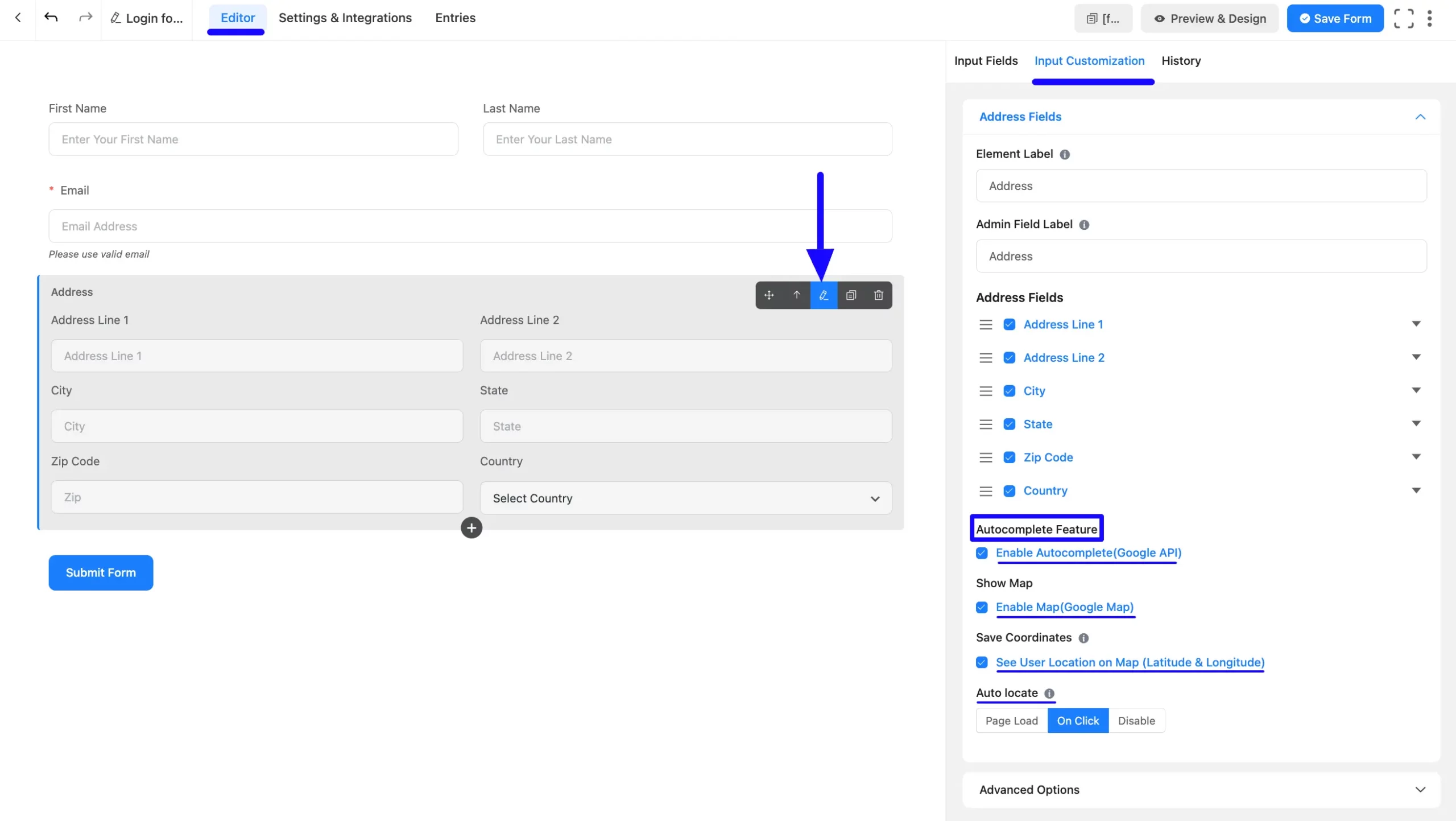 14. Input Customization tab of Address field scaled 50317