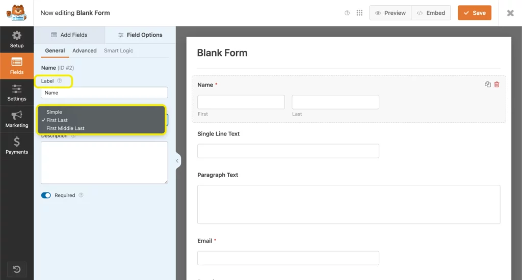 General input field section- WPForms