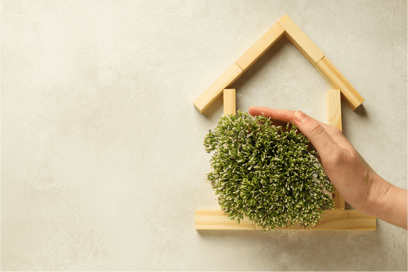 image for the Environmental section of the ESG area.