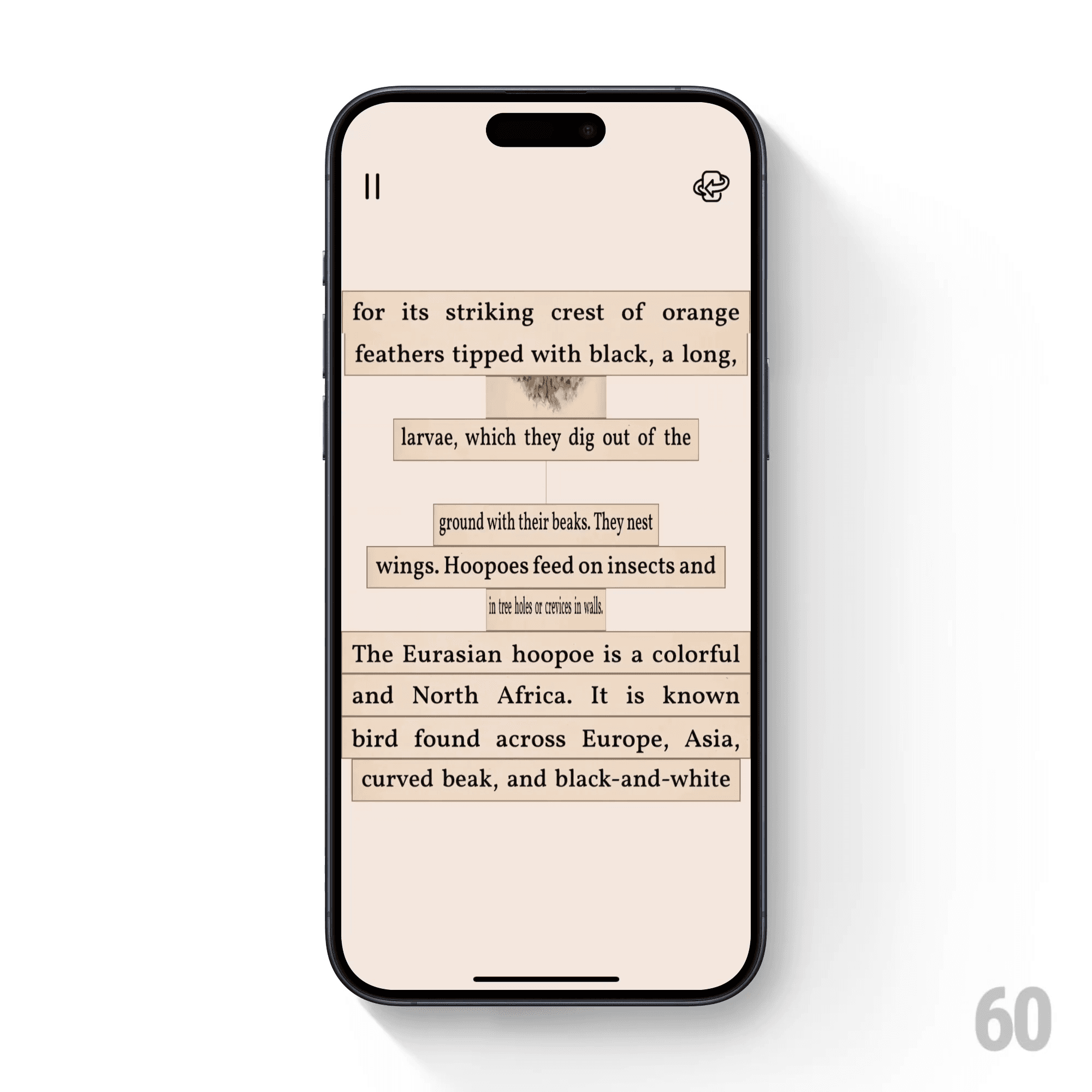 This is the shot of Text filter.