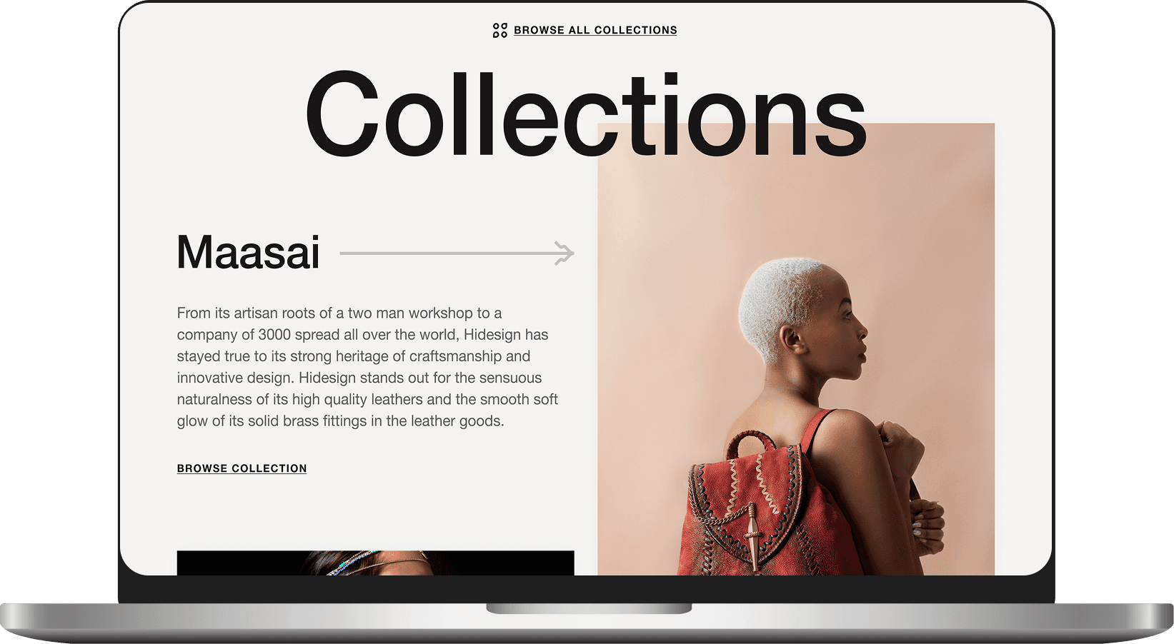 laptop website example