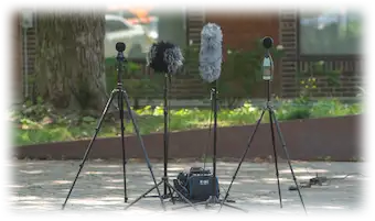 Ensemble de microphones sur trépieds installés dans un parc urbain pour une captation sonore en extérieur.