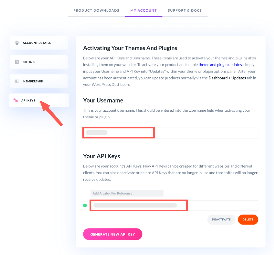 Divi教學 :找到使用者帳號 & API Key
