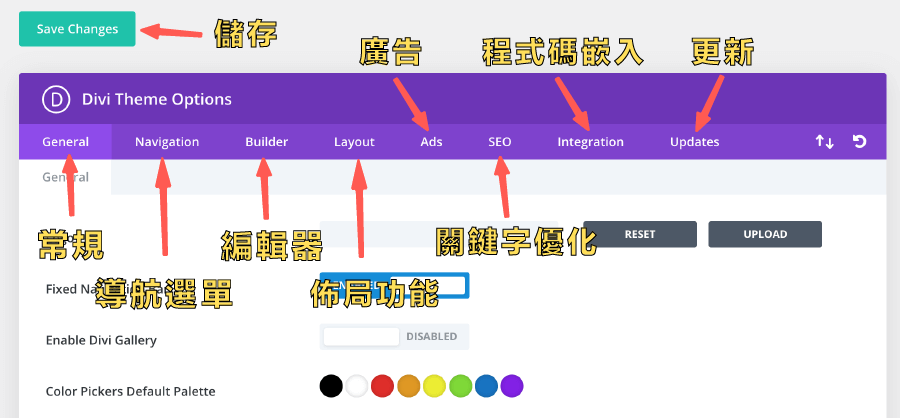 Divi教學 :Theme Options 主題設定