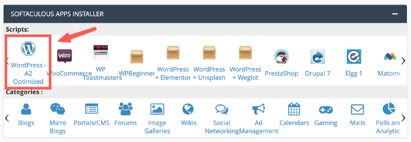 選擇要安裝的網站類型