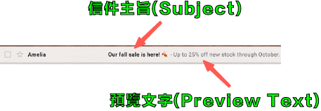 MailChimp教學 :信件資訊,顯示位置