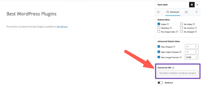 WordPress SEO 優化技巧:Canonical Tag 標準網址
