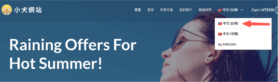 Polylang 教學:台灣語系的網站