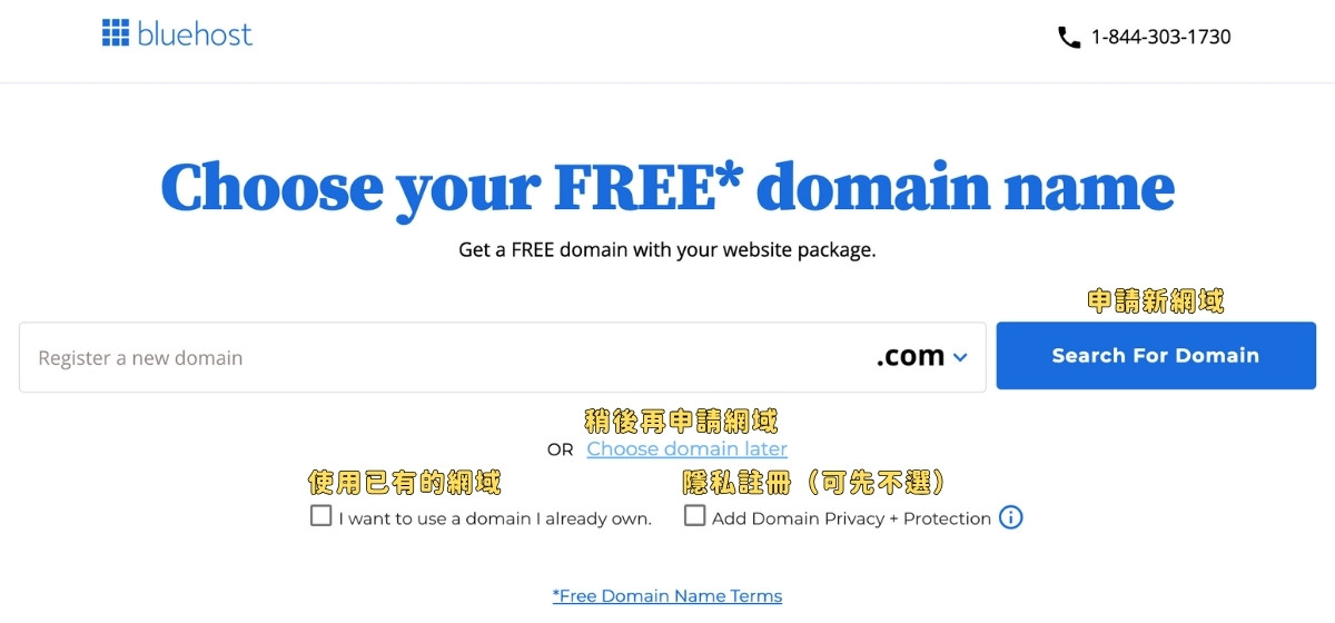 選擇建立新網址、使用已經有網址,或稍後再申請網域