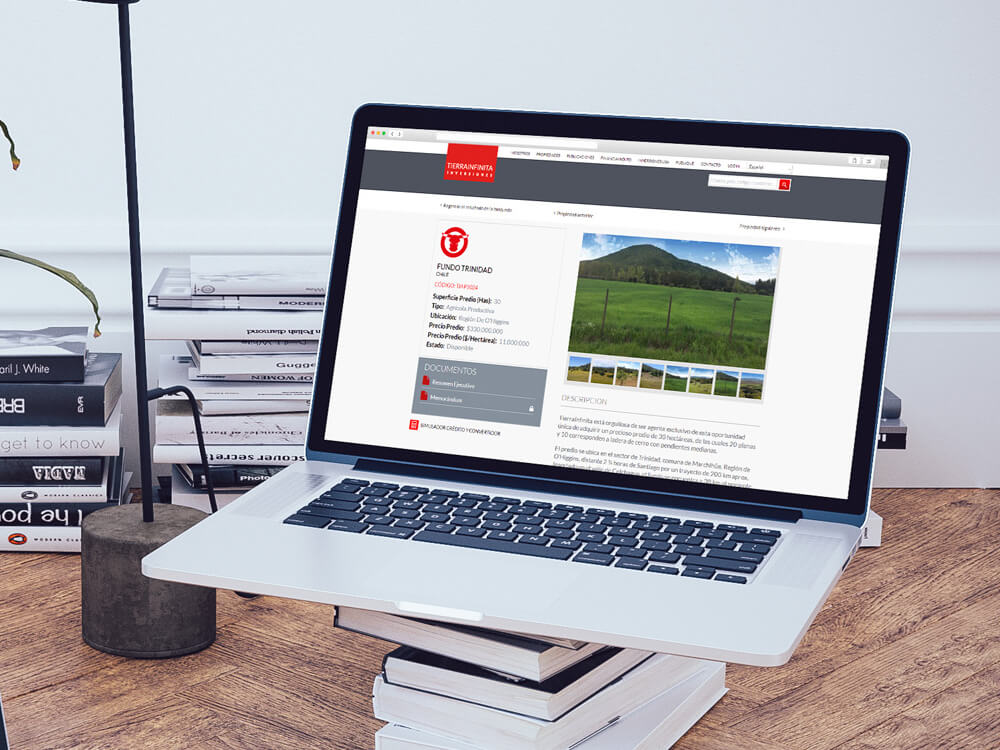 tierrainfinita-detail