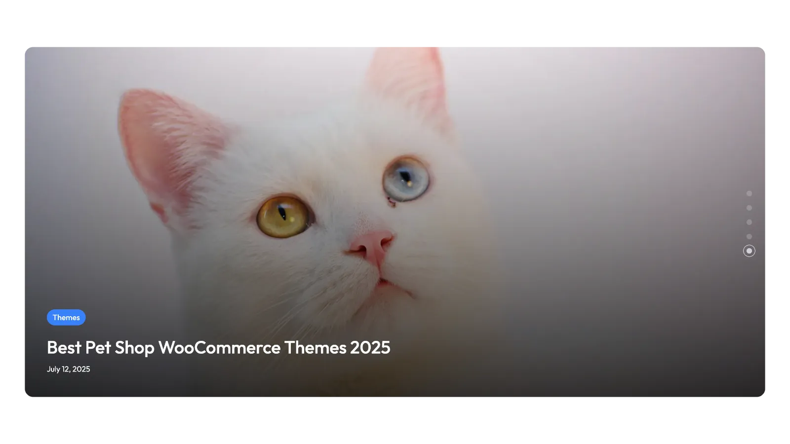 Visually Striking Blog Posts Slider Using the Cover Block Layout