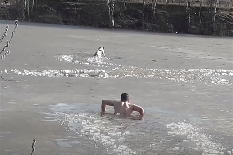 凍った川で身動きできないワンコ。勇気ある男性が裸で救助に向かうも予想外の結末に!