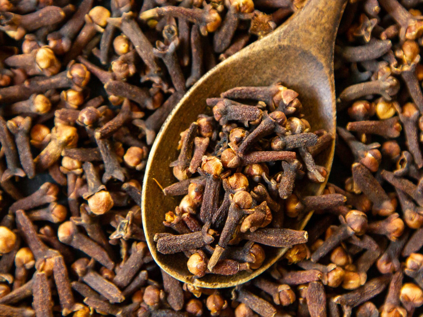 Trusted Indonesian Clove Exporter