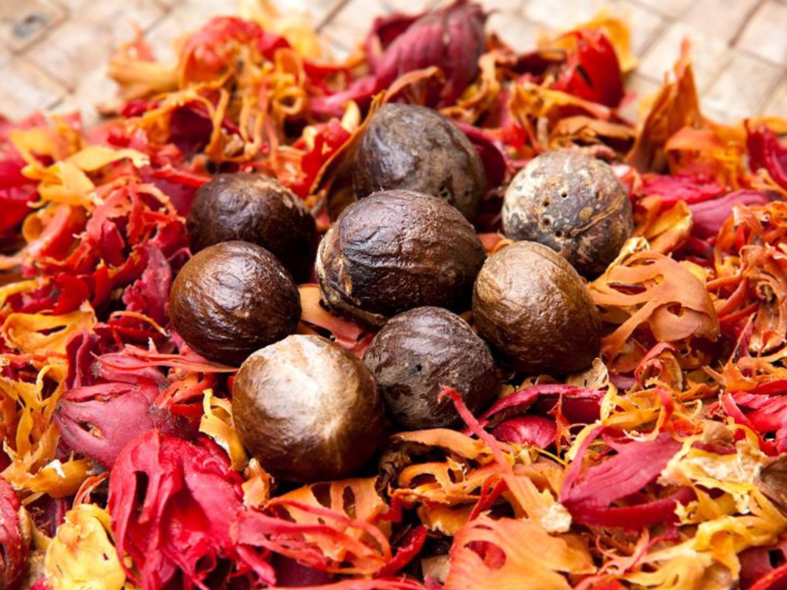 Premium Indonesian Mace Spice