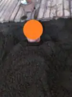 alt="体重の1.5倍の砂をかけられる「竹瓦温泉」"