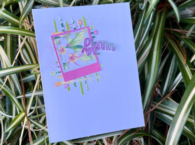 A colorful greeting card featuring a floral design framed in pink with the word 'Bloom' in a playful font, placed on a background of green grass.