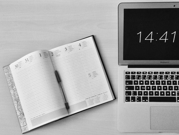 Free 2023 Best 8 WordPress Themes For Blogging