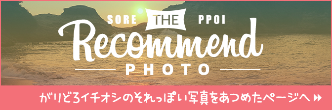 バナー:がりどろ運営イチオシの写真画像一覧へ