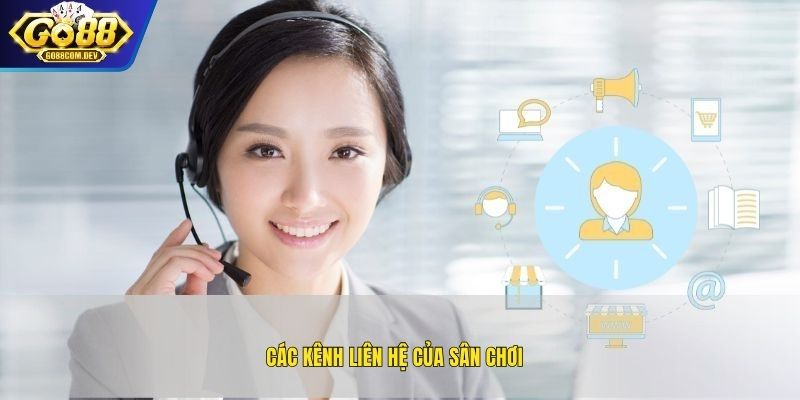 Các kênh liên hệ của sân chơi
