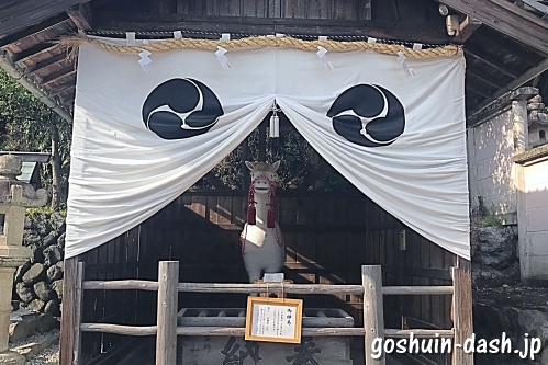 針綱神社の御神馬(白馬)
