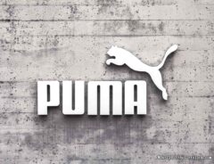 プーマのスニーカー『ソフトライド』ってどんな靴? 調べてみたら機能とコスパがいいアイテムだった!