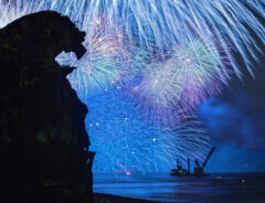 「魅力が伝わってくる」「気付かなかった」 青色の花火を撮影した写真に感動のため息