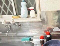 キッチンの写真 8万『いいね』のワケに「え、すごい」「いい世界」