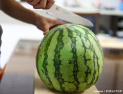 遠藤憲一の独特なスイカの切り方に「結構いいかも」「食べやすくてよさそう」