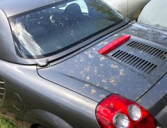 「こんなひどいこと一体誰が…ん?」 愛車の『悲劇』にツッコミ殺到