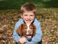 素晴らしい活用方法! 森で行方不明になった少年を発見したのは『ドローン』