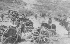 turkwadif75mmeldkanone