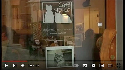 小説か映画のような本当の話 小説か映画のような本当の話