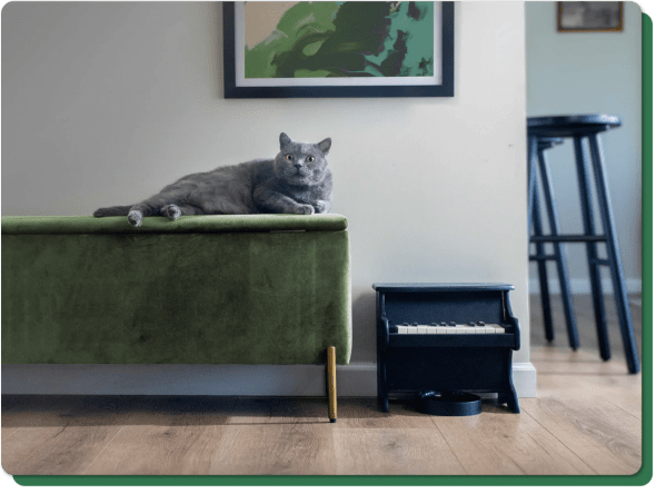 A cat sits on a dark green mid-century modern bench next to a cat-sized black piano. A black bowl sits beneath the piano to catch food. An abstract green, blue, and tan picture in a black frame is on the wall above the cat and a black bar stool can be seen around the corner. It looks like the sort of photo you'd see on Instagram or in an interior design magazine.