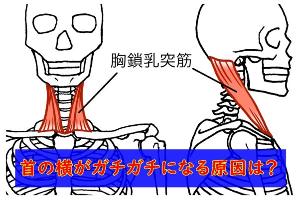 首の横がガチガチになる原因は?