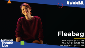 Black background with actress Phoebe Waller-Bridge smiling and looking up into the distance; the title is "Fleabag" in white