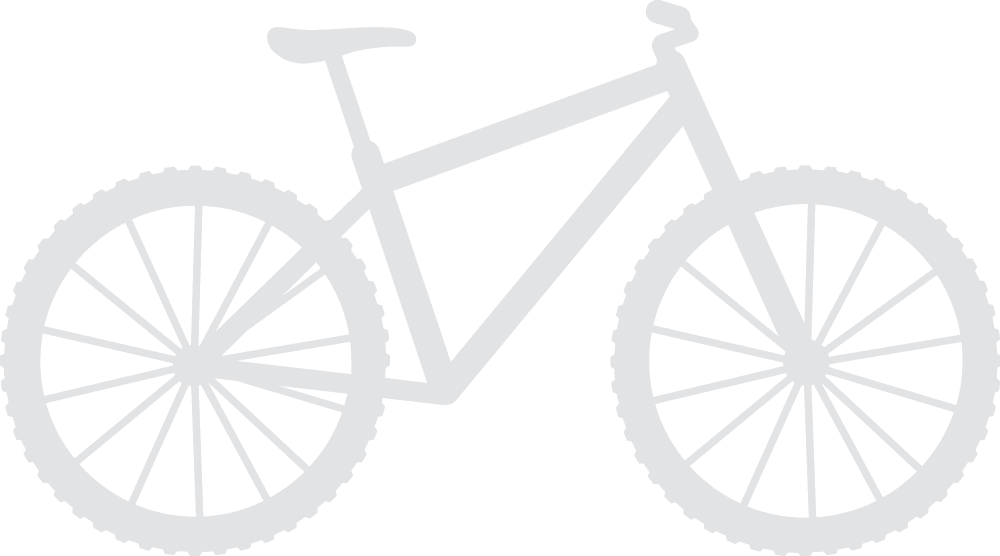 Hayes Bicycle Hayes Bicycle